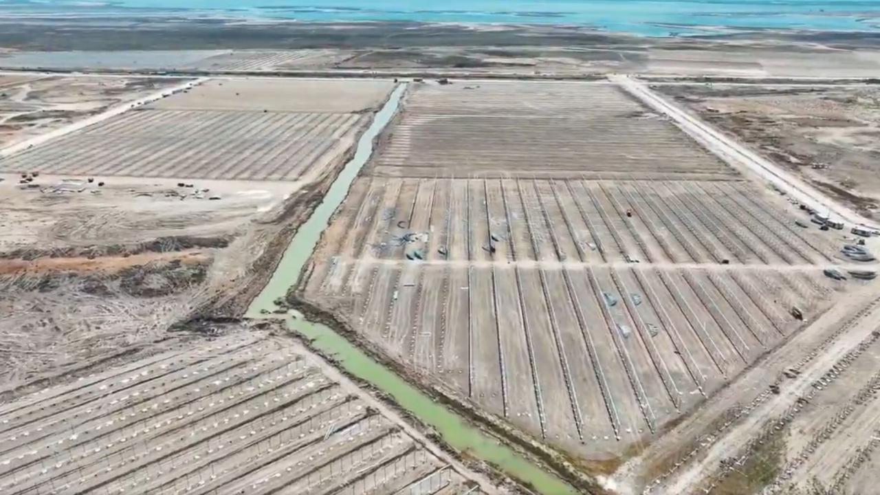 Adana’da modern topraksız tarım dönemi: 5 bin kişiye istihdam imkanı